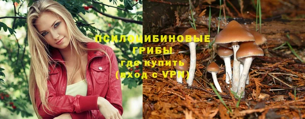 дживик Белоозёрский