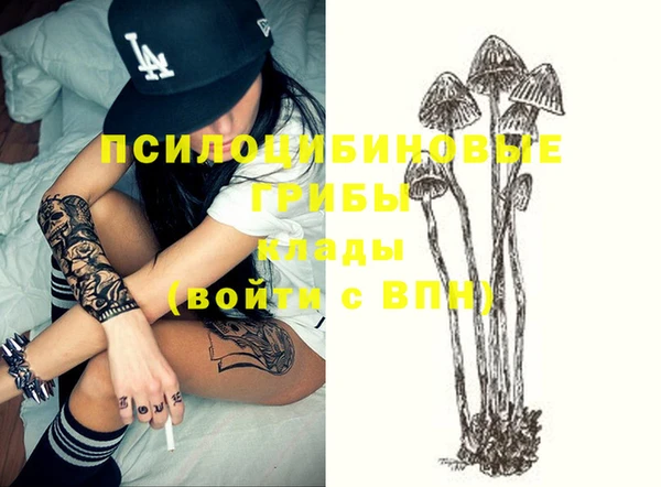 метадон Белокуриха