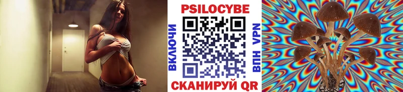 Галлюциногенные грибы прущие грибы  KRAKEN сайт  Верея  купить закладку 